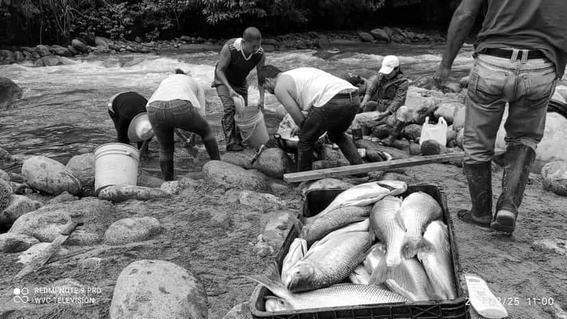 Musurunakuna community permaculture 2 Musurunakuna community permaculture 2